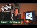 Christmas Wildlife Message - UK WILDLIFE and NATURE Photography