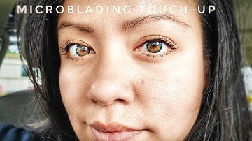 Day by day microblading healing process! (TOUCH-UP)