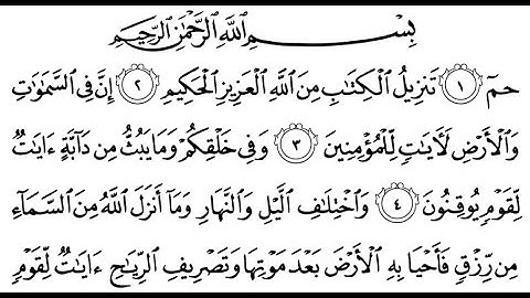 سورة الجاثية مكتوبة | سورة رقم 45