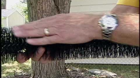 The Best Leafguards By GutterBrush.com