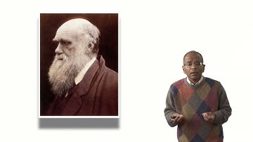 Lecture 12.1: j.  Burt