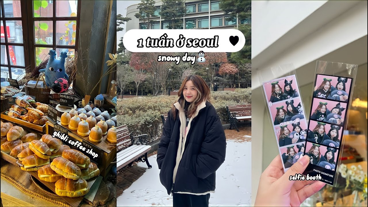 1 tuần ở seoul (cafe hopping, snowy) | du học hàn quốc 🇰🇷