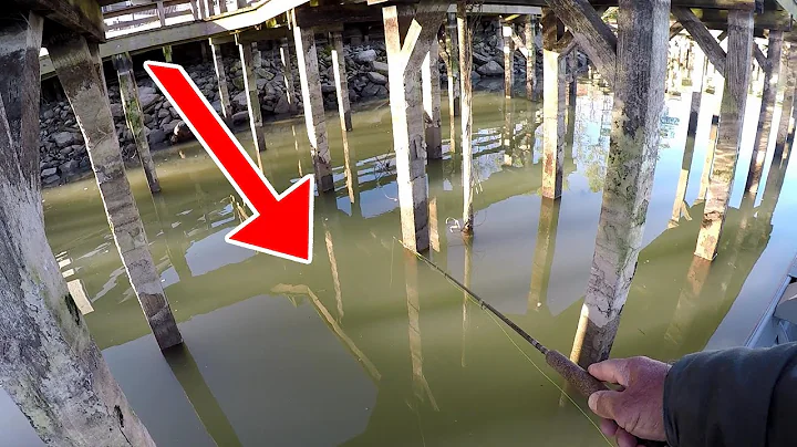 EXTREMELY Low Water Reveals SLAB Crappie!