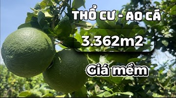 Bán Đất Đồng Nai . Vườn ao cá - Đất Quy hoạch đất hồng | 100m mặt tiền hiển thị 