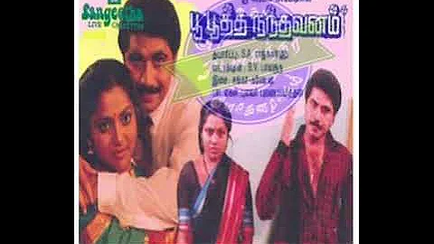 SPB/கண்ணே உனக்கு என்ன குறை(பூ பூத்த நந்தவனம்)-Kanne Unaku Enna Kurai(Poo Pootha Nandhavanam-1988)