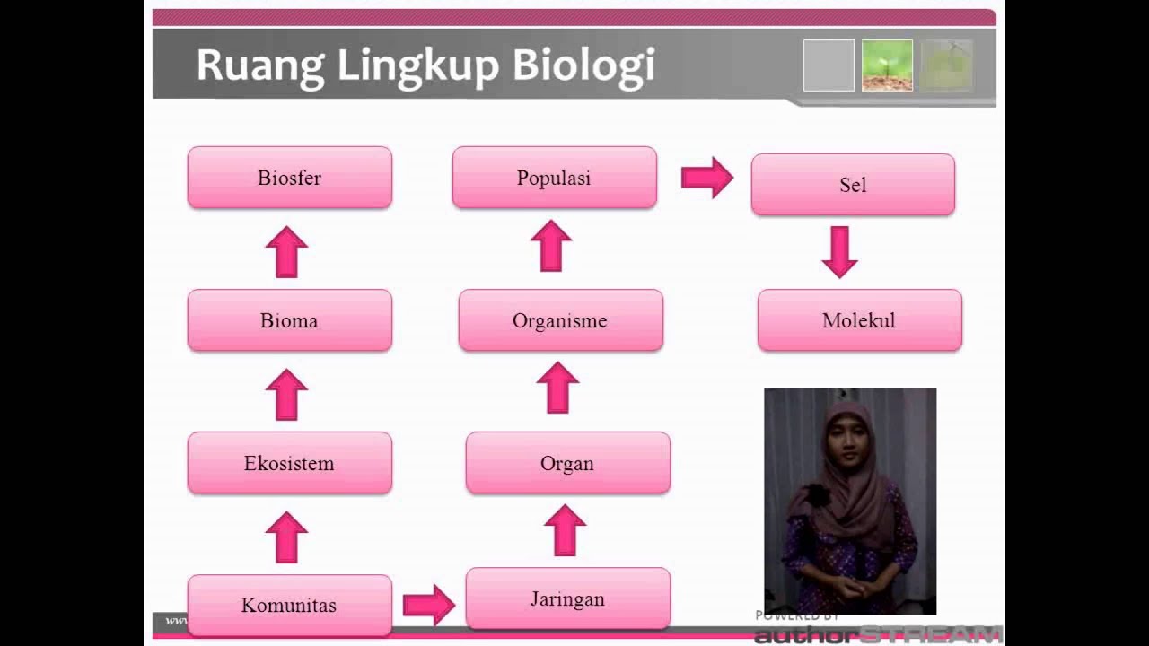 Soal Ruang Lingkup Biologi Kelas X Kurikulum 2013