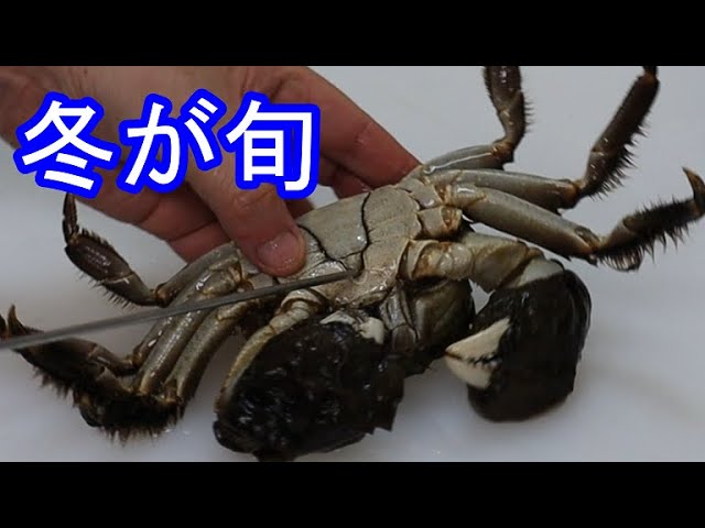 モクズガニ 料理 下処理法 別名 上海蟹 の食べ方 蒸し蟹 Youtube