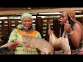 Extreme Bushmeat!! Nigeria WILD Animal Market Tour! #Nigeria Africa Ep.8