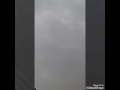 الطيور على القرناوي الطيور على القرناوي