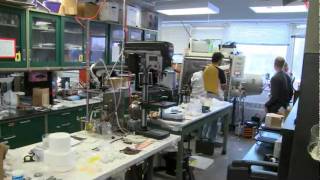 MSUToday: Grassoline and other forms