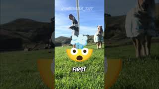 Her Electric Fence Trick Saved The Pony 😱 (@michaela_tait)