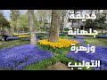 اسطنبول حديقة جولهانه أجواء الربيع مع زهور التوليب Gulhane Park in Istanbul