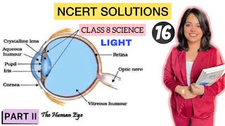 NCERT Solutions Class 8 Science Chapter 16: Light