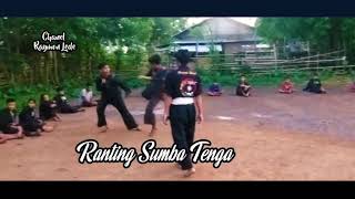PSHT SUMBA TENGAH