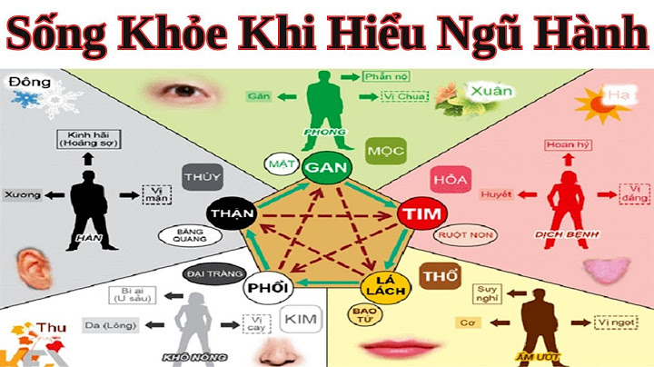 Thuyết âm dương ngũ hành là gì năm 2024