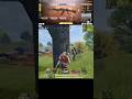 AK 47 BEST GUNSMITH IN CODM #codmslayeryt #1vs4 #codm #shorts #ak47