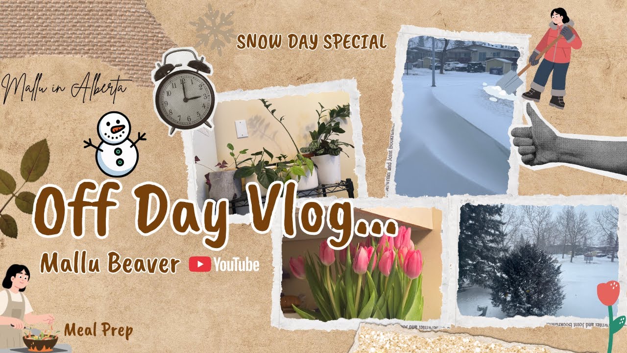 A random off day with snow!! Meal prep, A day in my life. #malayalam #canadamallu #snow 