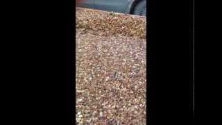 How to repair your concrete steps with Pebble Stone Flooring