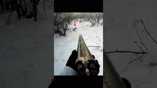 🐇🎯 Охота на кролика — идеальный выстрел!#chasse #hunting #rabbit #отличная