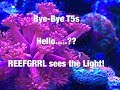Bye Bye T5s. Hello...❓ REEFGRRL Sees the Light!! 🌅