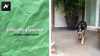 Smooth slowmo tutorial [Nodevideo] // Mapahx