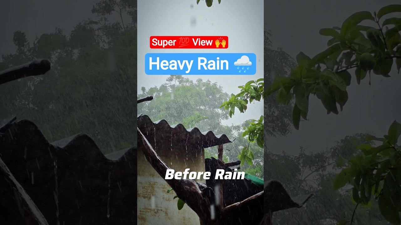 "vibe" 🙆 | Rain videos | Rainy Season | Please Subscribe 🙌