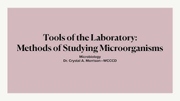 Lecture 3: Tools of the Laboratory--Microbiology with Dr. Crystal A. Morrison