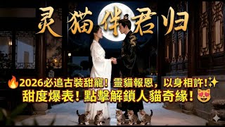 【全集免費】落魄太子撿回一隻受傷小白貓，竟是修煉千年的靈貓神女！🐱 每晚鑽進被窩幫他療傷，化為人形驚豔天下！《靈貓伴君歸》