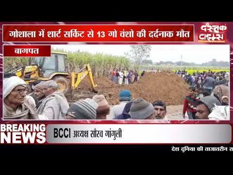गोशाला में शार्ट सर्किट से 13 गो वंशो की दर्दनाक मौत