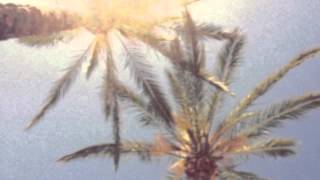 Chill Out Under The Palms Mix