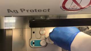 Frozen Sectioning a skin punch biopsy plus immunofluorescence