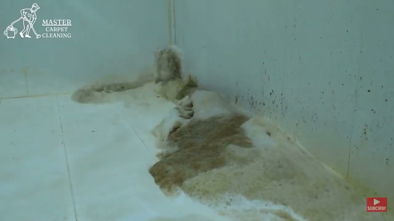 沉浸式解压洗地毯#沉浸式清洗#解压洗地毯#强迫症#深度清洁#清洗地毯