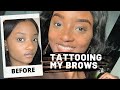 TATTOOING MY OWN BROWS: Microshading