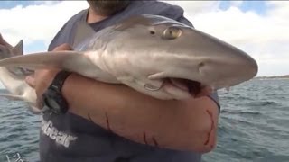 HOW TO CATCH GUMMY SHARK (SMOOTH HOUND) - YouFishTV