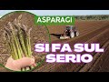 TUTTO PRONTO | Si parte con la raccolta