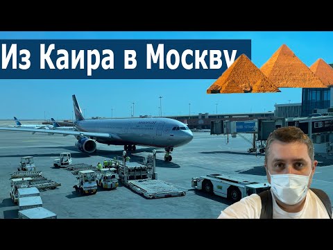 Обзор полета на A330-300 из Каира в Москву. Аэрофлот. Flight from Cairo to Moscow on Aeroflot