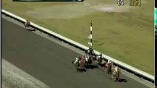 Rojo Beau Peep 4 22 18 Emerald Downs