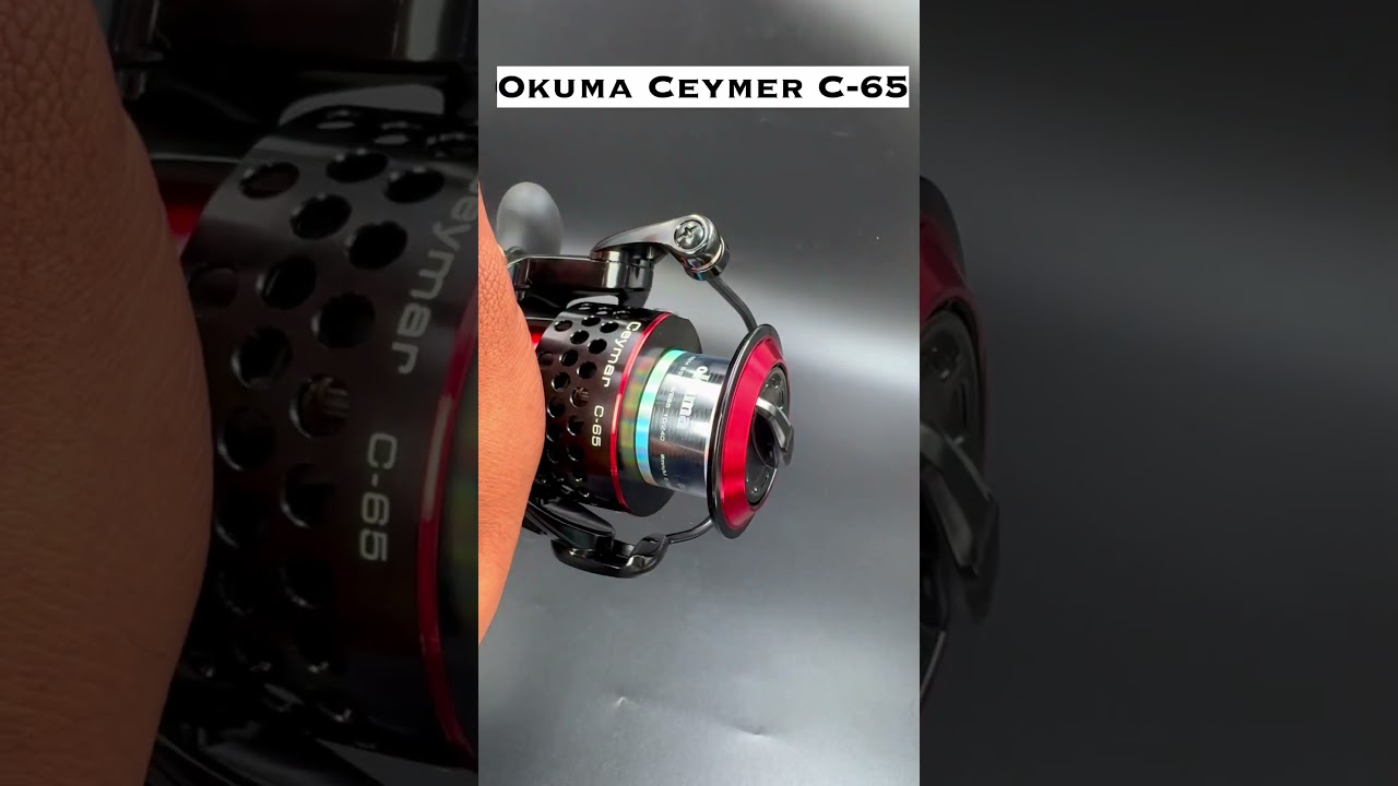 okuma ceymar 65 drag A-500 Size Reels by OKUMA 16KG Drag 👊🏻 OKUMA Ceymar
