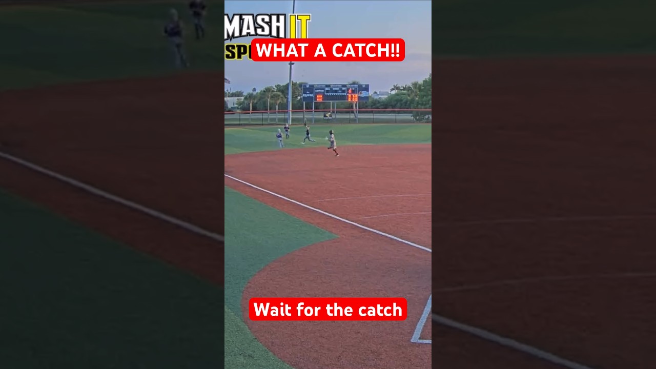 What a catch!!!! 