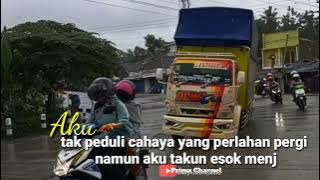 Story wa 30 detik // truck dewi sri yang sangat mbois