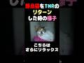 野良猫をTNRのリターンをした時の様子 #保護猫 #ネコ #ねこ #tnr #野良猫 #猫動画 #保護活動　#cat #rescuedanimal