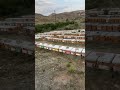 ٧ مايو ٢٠٢٦