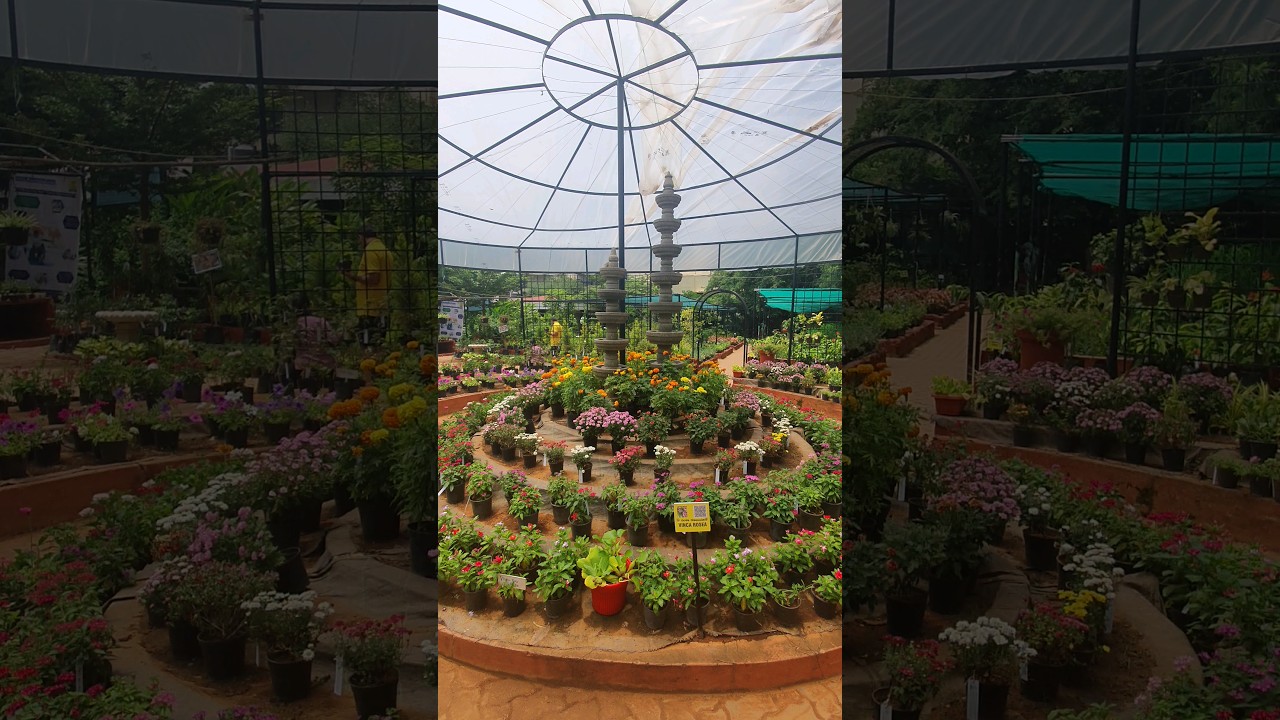 Nursery Shopping Be Like: APD Nursery