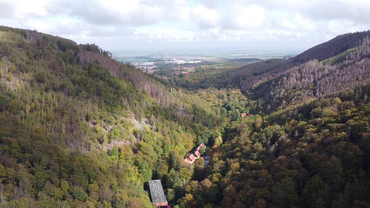 Der Harz stirbt - ungefiltert 4K - Zustand 2020 - YouTube