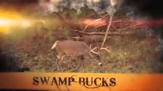 Team Sweet Addiction Tv Open To The Show On Pursuit Channel