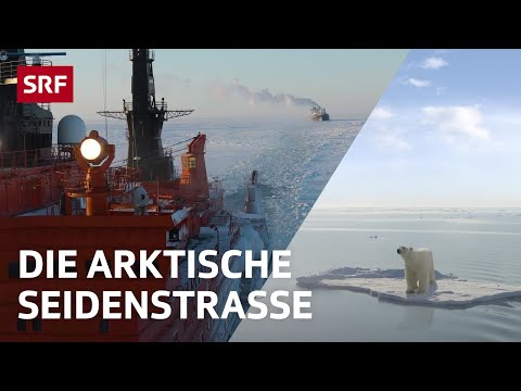 Die Arktische Seidenstrasse | Globale Themen erklärt | #SRFglobal