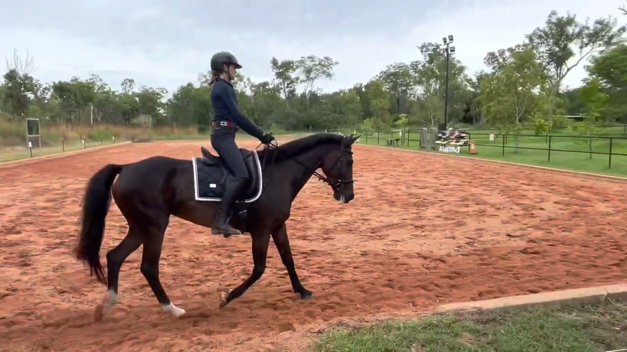 Finch Farm Calina Prep C Mar 2022 YouTube