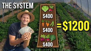 The Succession Planting System That Funds My Farm