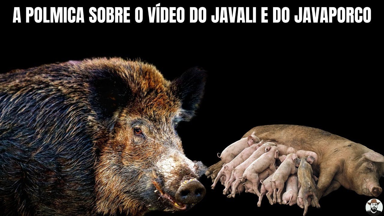 Â Polêmica sobre o Vídeo do Javali ou Javaporco