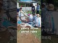 LUCU NGAKAK 17AGUSTUSAN CORE #shorts #shortvideo #shortsfeed #viral